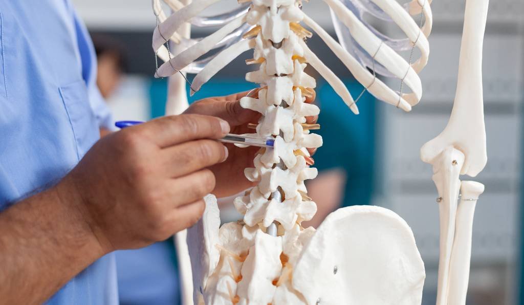 estabilização da coluna vertebral
