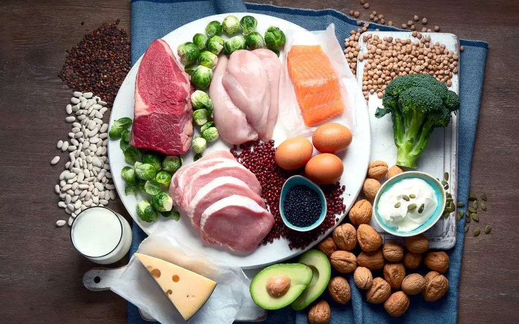 refeição rica em proteína